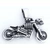 Skeleton rider - Hopeariipus